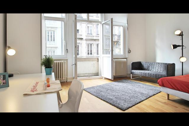 Strasbourg Apartments: Furnished Apartments For Rent In Strasbourg ...