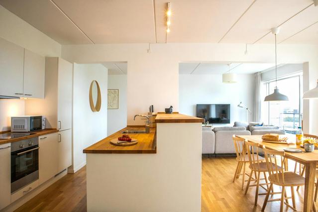Illustration of Wolf Gas Range Luxury Apartments In Copenhagen