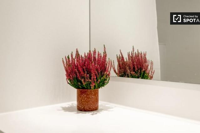 Beautiful view of Luxury Apartments For Rent In Denmark