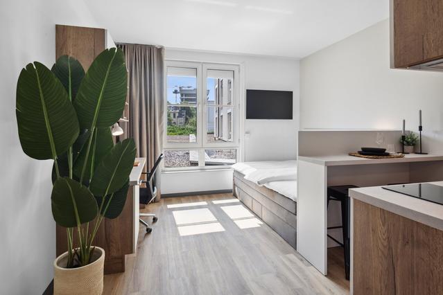 View of Apartments for Rent in Bonn | Nestpick