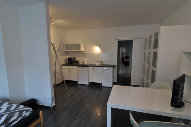 Saarbrucken Apartments: Furnished Apartments For Rent in Saarbrucken ...